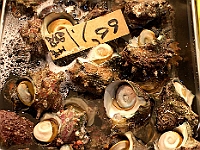 CONVAR168 Kopie